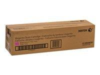 XEROX DRUM CARTRIDGE MAGENTA 51.000 PAGE