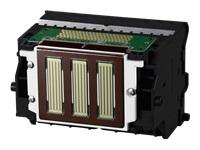 CANON Print Head PF-10