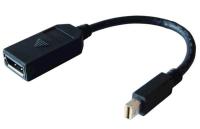 HP Adapter MiniDisplayPort na DisplayPort