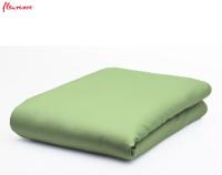 RJUHA JERSEY ELASTO-COMFORT 100X200 SVETLO ZELENA